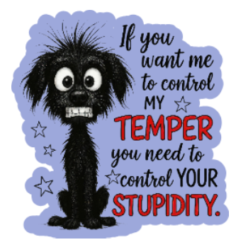 Control your Stupidity Vinyl Sticker Autumnmist Boutique