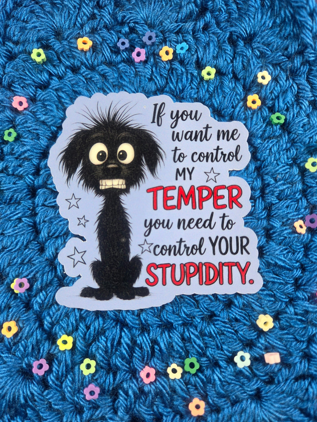 Control your Stupidity Vinyl Sticker Autumnmist Boutique