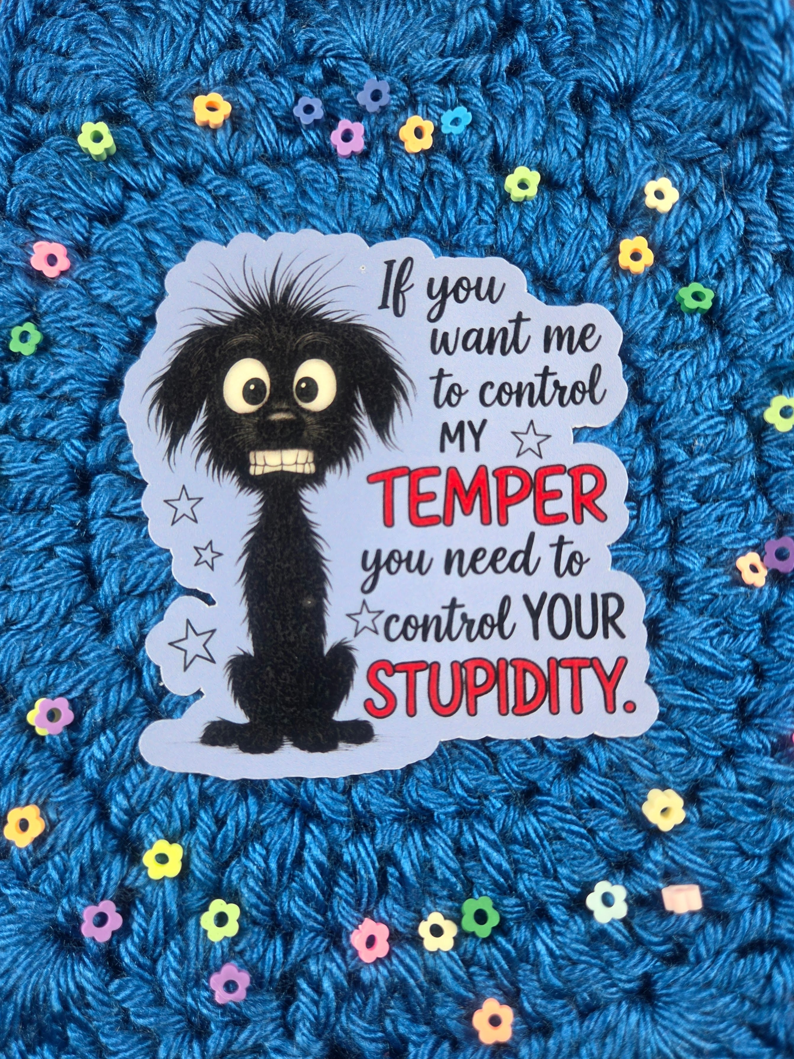 Control your Stupidity Vinyl Sticker Autumnmist Boutique