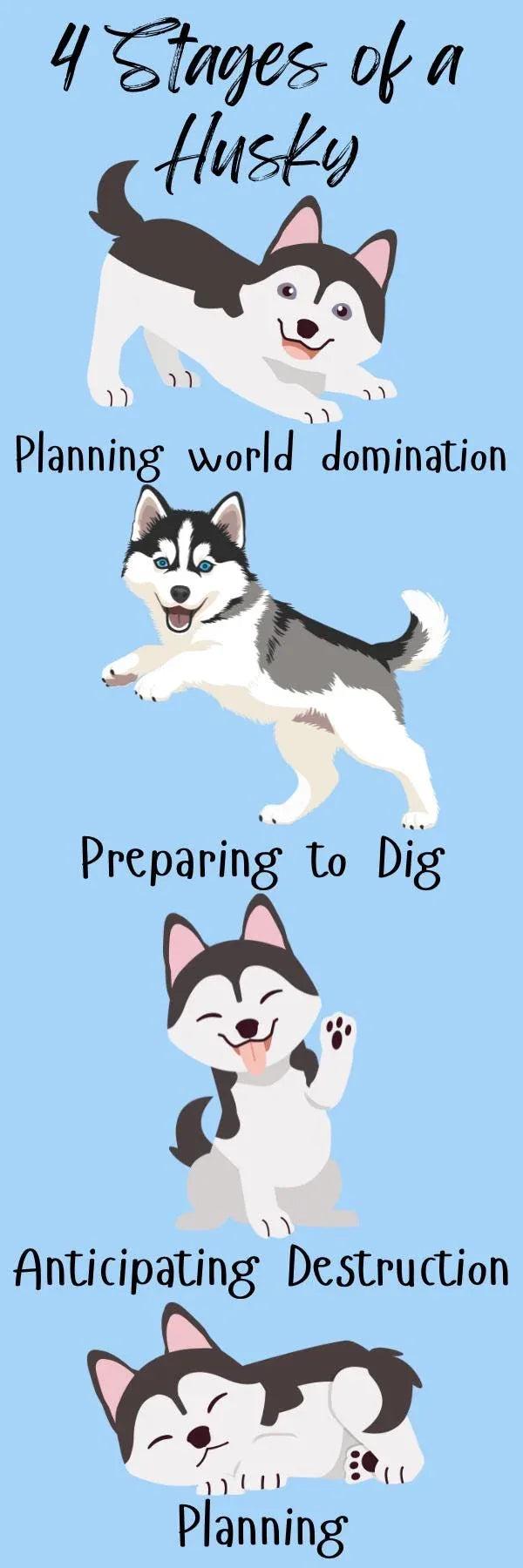 Mischief in Motion Husky Laminated Bookmark - Autumnmist Boutique