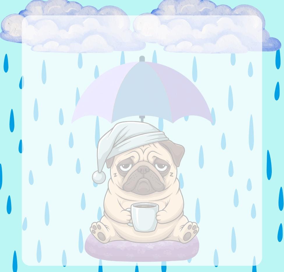Rainy Dog Sticky Notes 3&amp;quot; x 3&amp;quot; Autumnmist Boutique